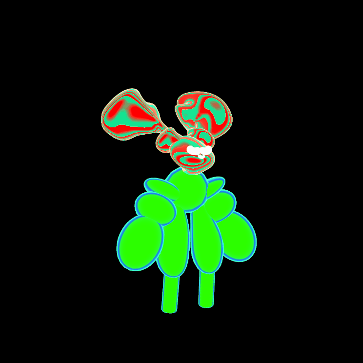 Podo 24